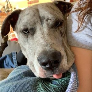 Meet your Posher, Eilee